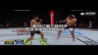 拳王全集在线观看,激战巅峰，热血沸腾的拳击传奇  第3张